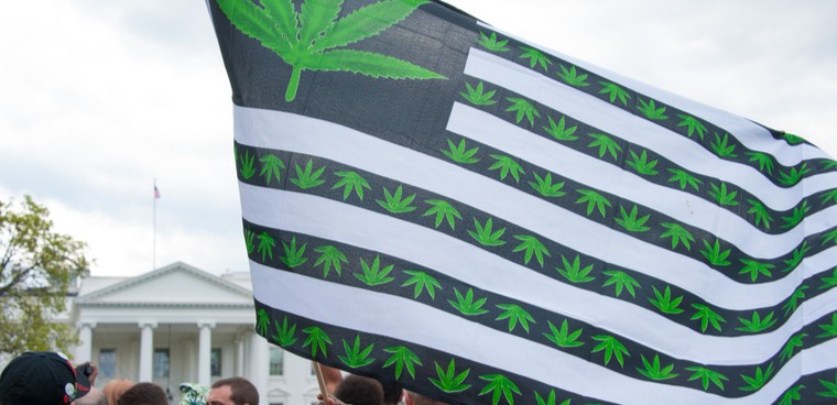 Protesters rally in support of the legalization of marijuana in front of The White House in Washington DC on April 2, 2016. Editorial credit: Rena Schild / Shutterstock.com