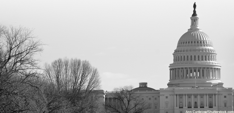 US Capitol (Ann Cantelow/Shutterstock.com)