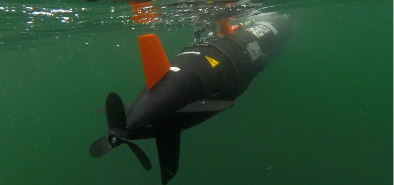 A Remote Environmental Measuring Units (REMUS) 100 unmanned underwater vehicle (UUV)   (U.S. Navy photo by Chief Mass Communication Specialist Travis Simmons/Released)