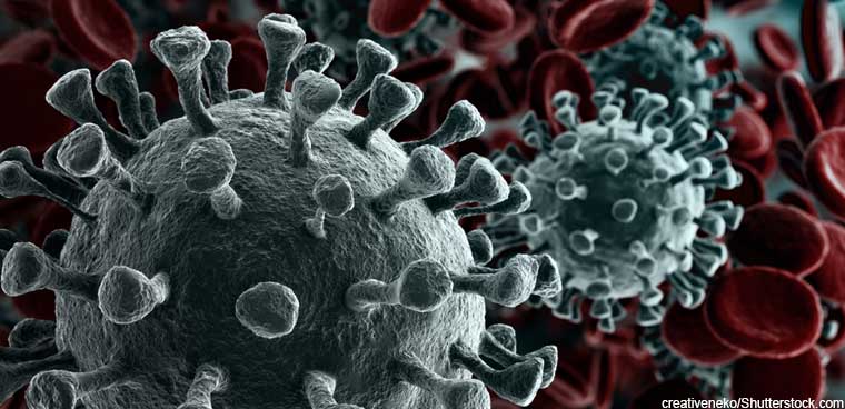 coronavirus molecule (creativeneko/Shutterstock.com)