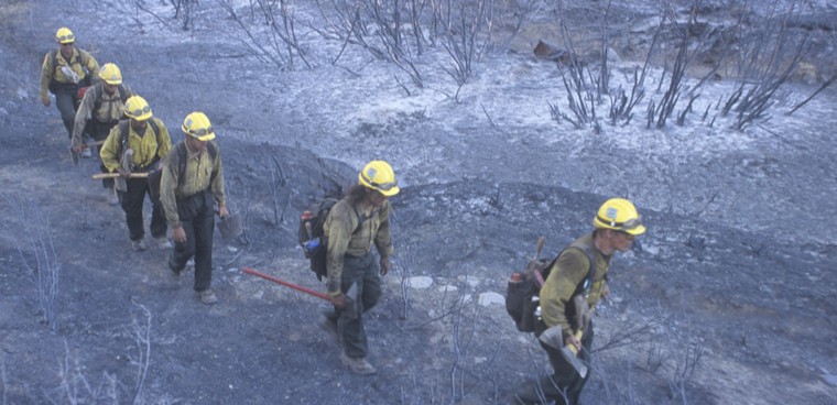 Fire fighters crossing charred terrain, Los Angeles Padres National Forest, California shutterstock  photo ID: 177444584 By Joseph Sohm