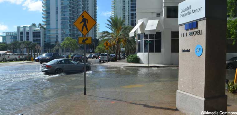 high tide nuisance flooding in downtown Miami, Florida in October 2016. Credit: B137, CC BY-SA 4.0, via Wikimedia Commons