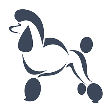 Shutterstock image: poodle vector.