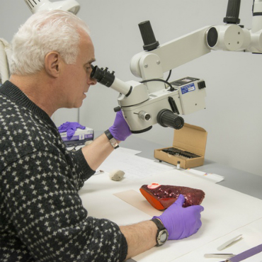Museum conservator Richard Barden examining the ruby slippers