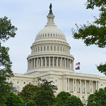 Shutterstock image (by Orhan Cam): United States Capitol - Washington, D.C.
