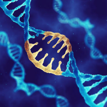 Shutterstock image ID 56053429 credit nobeastsofierce Double helix DNA molecule with modified genes